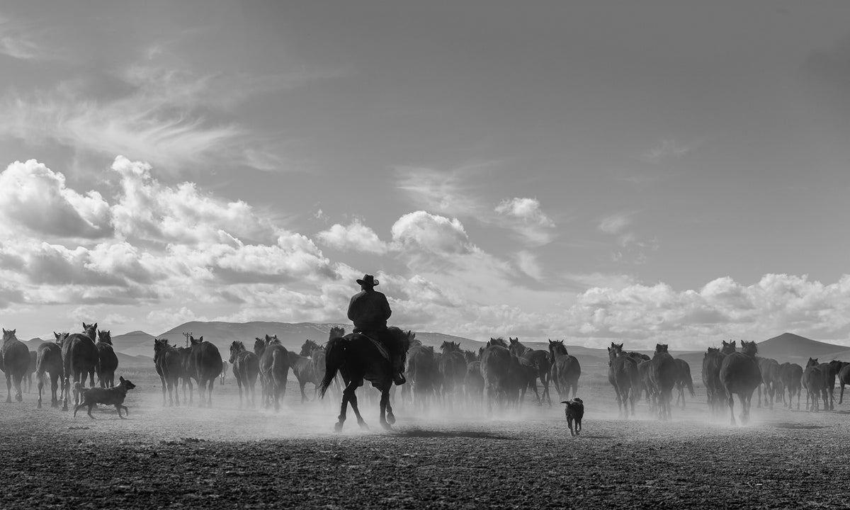 Western Collection