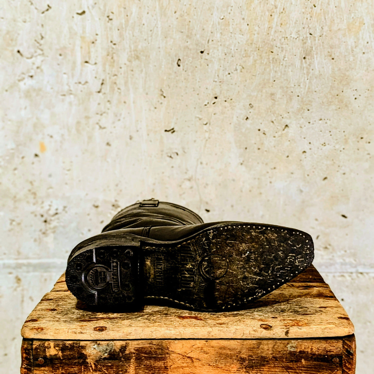 ReBoot - Heritage Black Beauty - 6 E