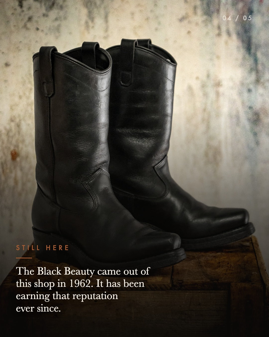 Black Beauty Pre-Order Deposit